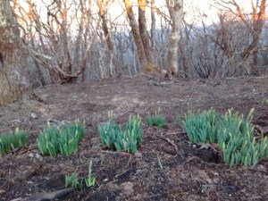 IMG_20170226_182124720