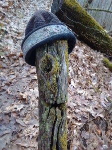 IMG_20170301_092653390