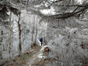 IMG_20170319_083118136