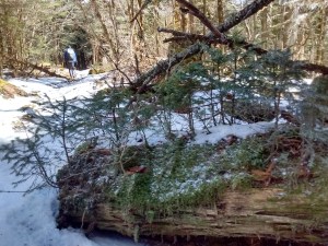 IMG_20170319_134950306_HDR