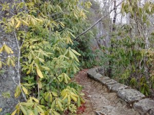 IMG_20170320_113047074