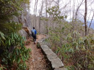 IMG_20170320_113439726