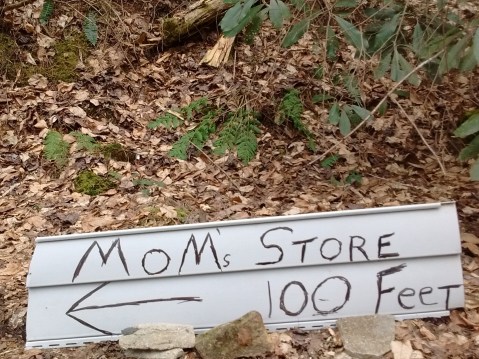 IMG_20170325_143801892