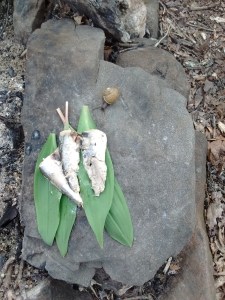 IMG_20170417_175725118