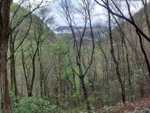 IMG_20170422_080204953_HDR