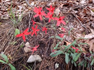 IMG_20170424_115627061