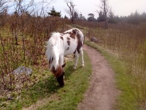 IMG_20170429_104542030_HDR