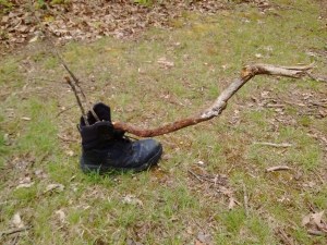 IMG_20170504_124346359