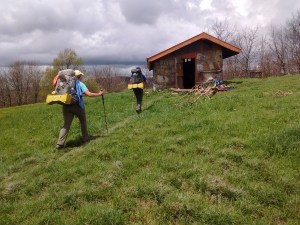 IMG_20170505_132223971