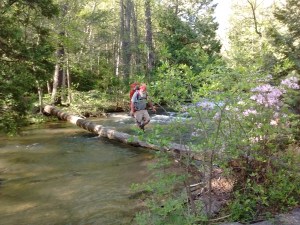 IMG_20170508_171653599