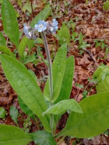 IMG_20170509_081509103