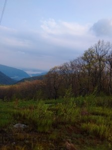 IMG_20170510_074837809