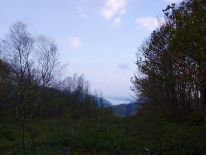 IMG_20170510_080143817