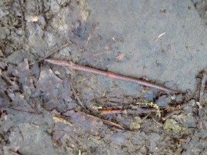 IMG_20170510_102008455