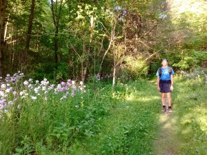 IMG_20170515_191341560