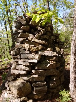 IMG_20170516_094409866