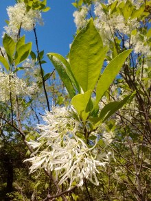 IMG_20170516_110120928