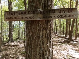 IMG_20170516_115127227