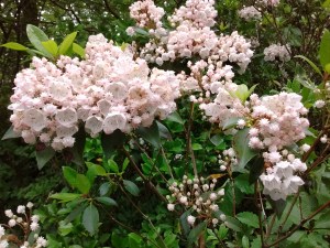 IMG_20170521_151602825