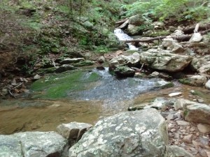 IMG_20170521_161629445