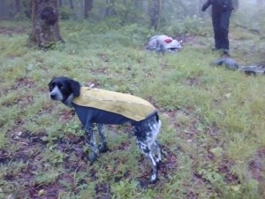 IMG_20170524_070434638