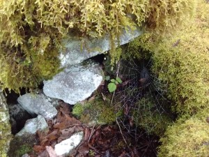 IMG_20170524_084759102