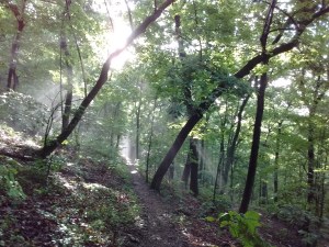 IMG_20170525_071127838