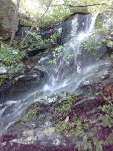 IMG_20170526_095235587