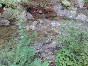 IMG_20170526_104222660