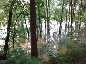 IMG_20170526_113445679