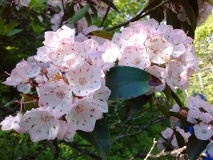 IMG_20170527_093214977