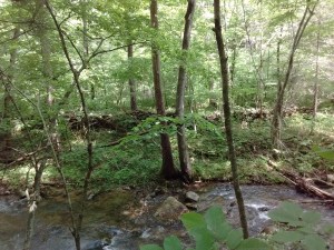 IMG_20170527_142851461