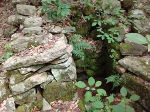 IMG_20170527_150851598