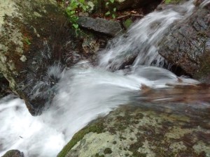 IMG_20170528_071904229