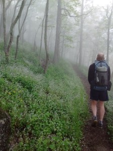 IMG_20170528_075743364