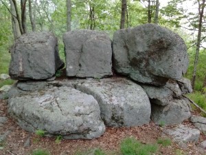 IMG_20170528_100835605