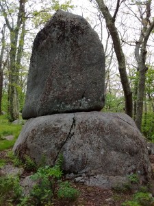 IMG_20170529_141503297