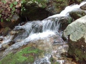 IMG_20170529_173428989