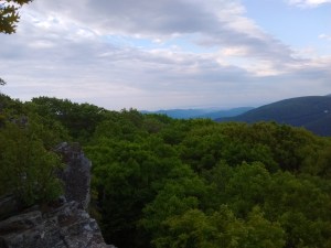 IMG_20170531_072405841