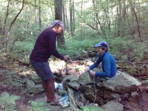 IMG_20170603_083418023