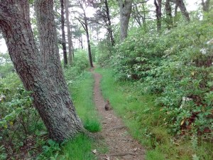 IMG_20170607_151231503