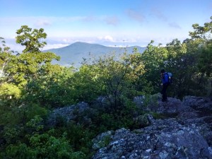 IMG_20170608_080339762_HDR