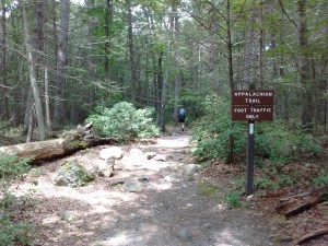 IMG_20170618_123210811