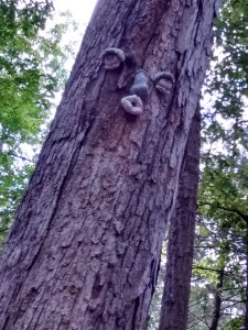 IMG_20170618_124009220_HDR