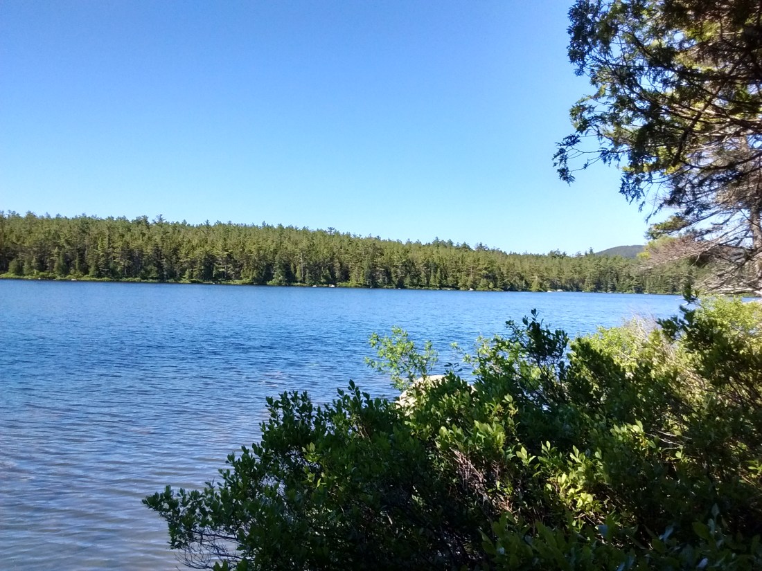 IMG_20170705_093036104_HDR