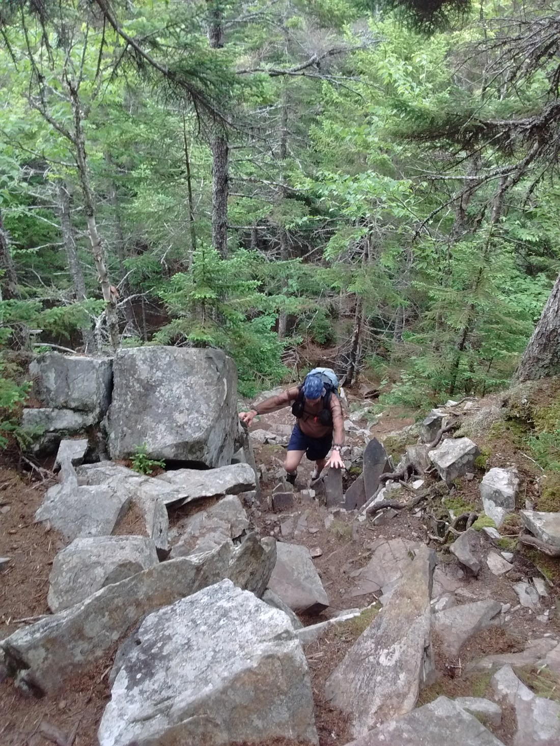 IMG_20170712_135059084