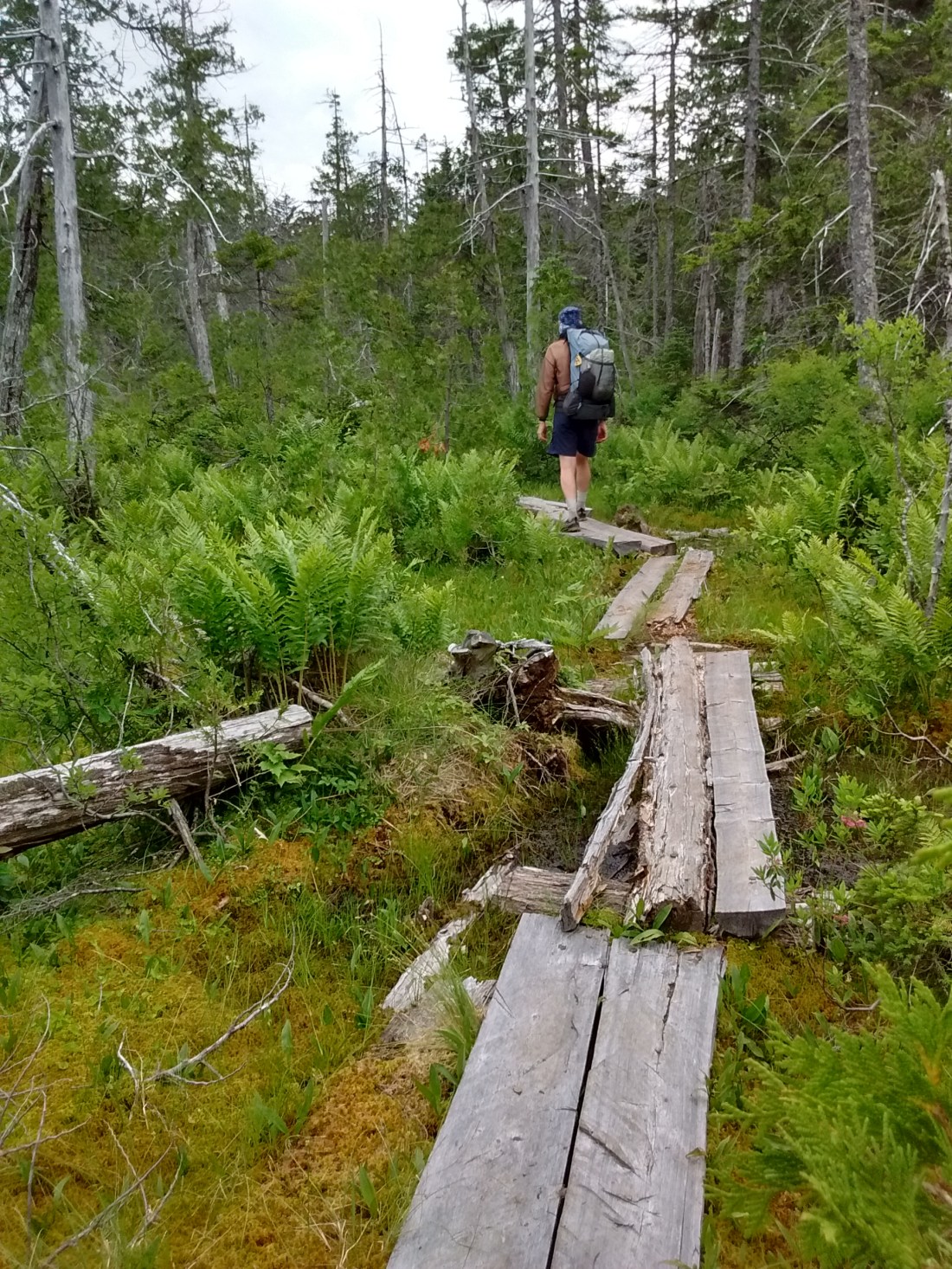 IMG_20170712_150056046_HDR