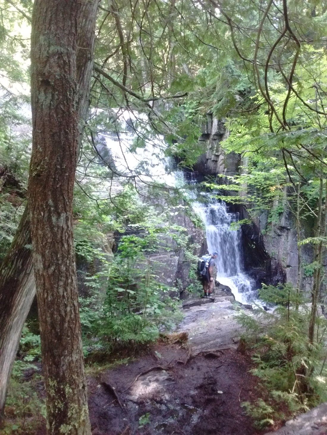 IMG_20170713_164832019