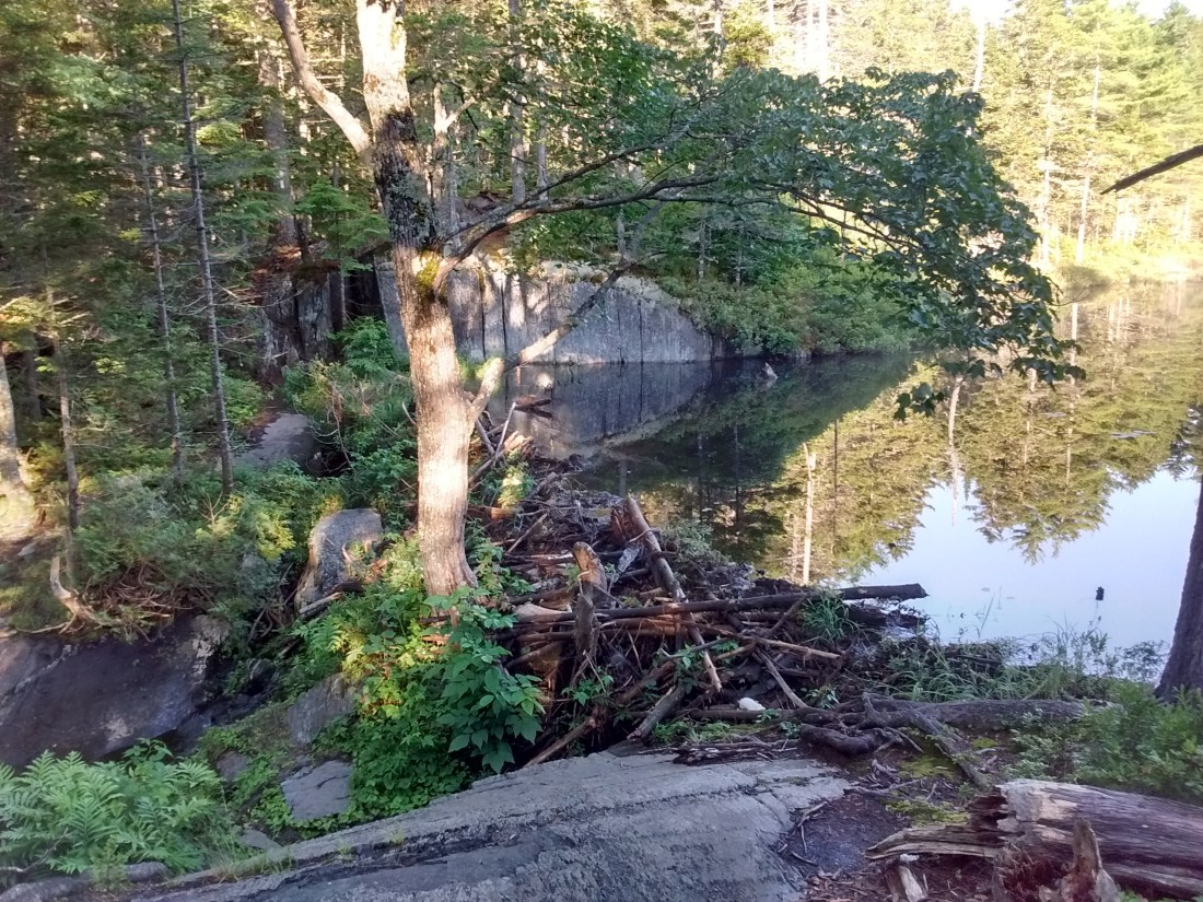 IMG_20170714_070945601_HDR