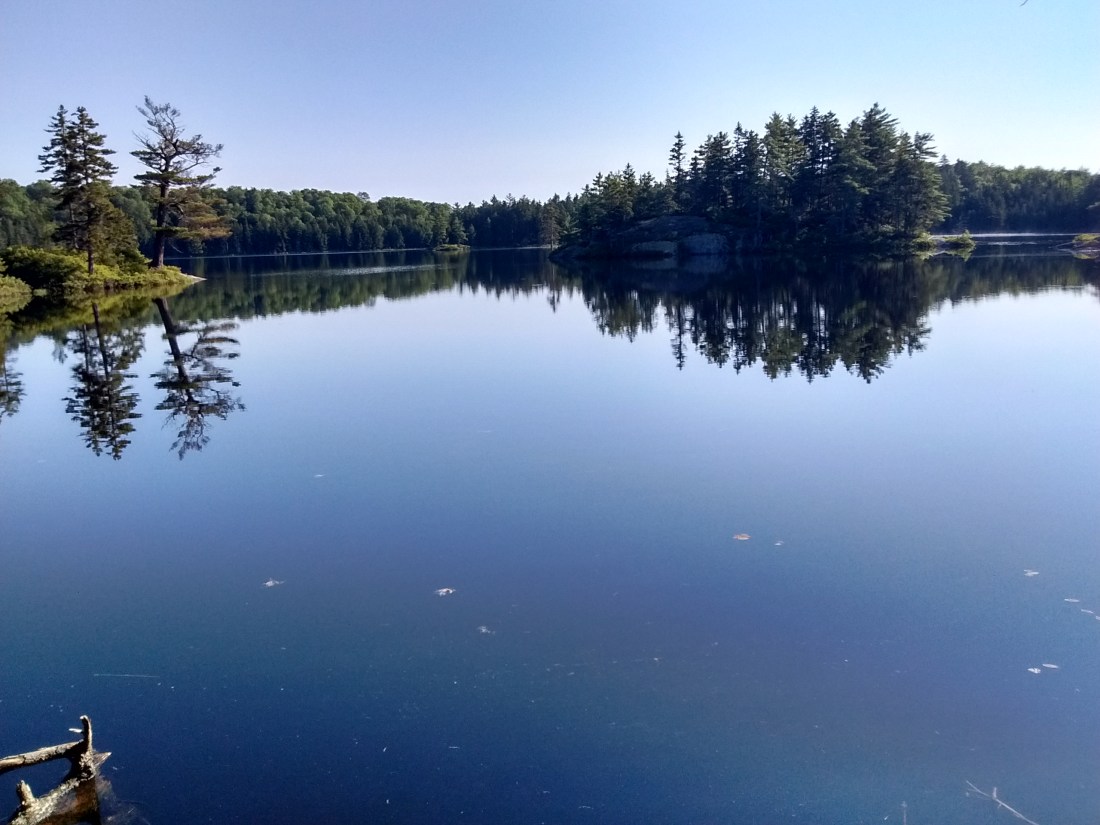 IMG_20170714_080139813_HDR